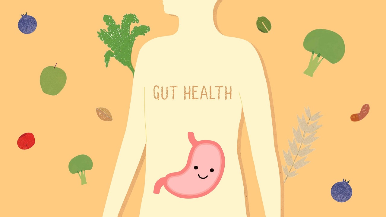 gut-health
